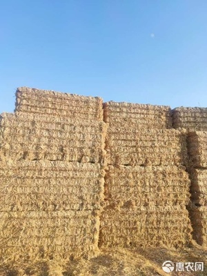 一级小麦秸秆在牲畜饲养中的高效利用策略