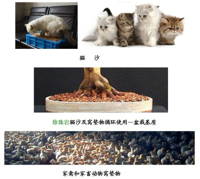 信阳市平桥区天梯珍珠岩矿业 牲畜饲养中的天然创新应用